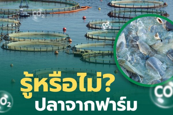 รู้หรือไม่? ปลาจากฟาร์มก็มี Carbon Footprint นะ!!