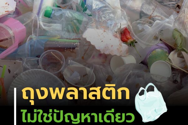 ถุงพลาสติกไม่ใช่ปัญหาเดียว สิ่งของใช้ครั้งเดียวก็เพิ่ม Carbon Footprint