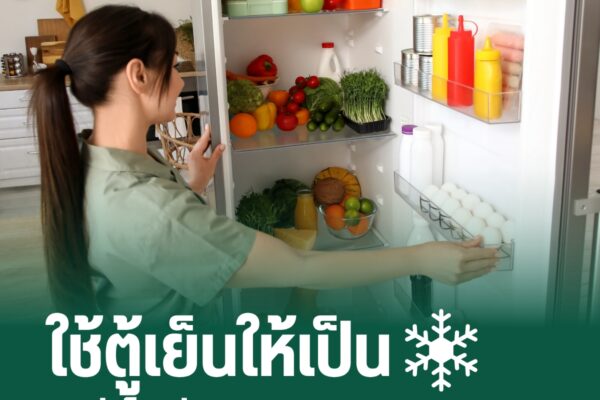 ใช้ตู้เย็นให้เป็น ลดค่าไฟ ช่วยลด Carbon Footprint